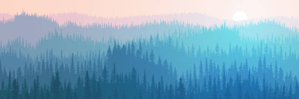 bildbanksillustrationer, clip art samt tecknat material och ikoner med hills and mountains covered by forest, vector illustration - skog sverige