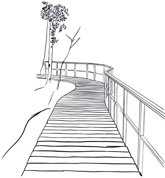 Vector illustration of Sketch of wooden path in the forest. Terrenkur concept