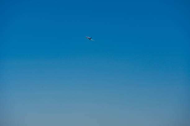 istock Airplane flying in the sky 1365281924