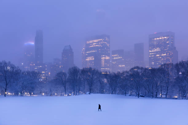 notte d'inverno a central park - new york city new york state skyline winter foto e immagini stock