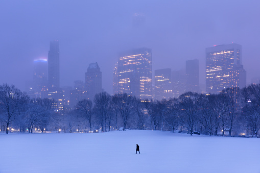 One person walking through the snow in Central Park, New York City.
