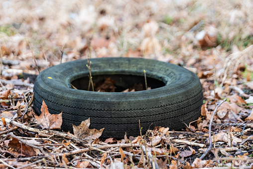 Random garbage junk items left in nature and forests. Old tire.
