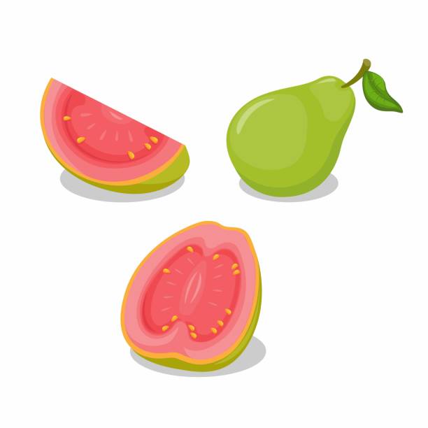 guave frucht ganz und slice objekt sammlung set illustration vektor - guave stock-grafiken, -clipart, -cartoons und -symbole