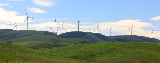 turbiny w altamont pass wind farm w pobliżu livermore, kalifornia, usa. - hill green california grass zdjęcia i obrazy z banku zdjęć