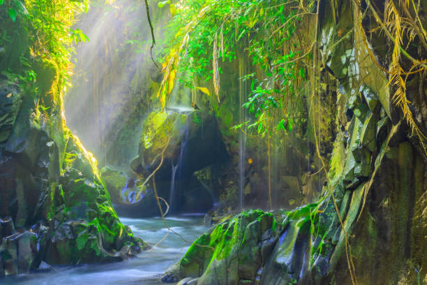istock dream-like scenery, beautiful waterfalls between stone passages in the morning 1365296526