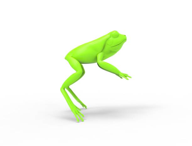 istock 3d rednering of a jumping frog isolated in white studio background 1365297459