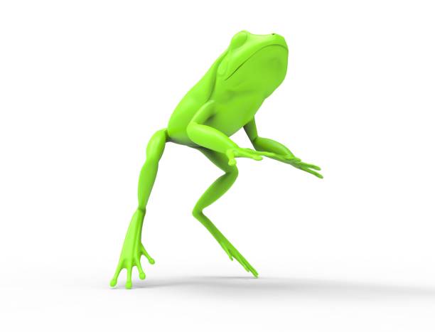 istock 3d rednering of a jumping frog isolated in white studio background 1365297460
