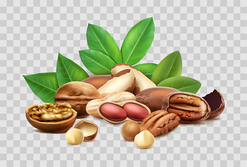 3d realistic vector icon. Different nuts, hazelnut, macadamia, brazilian nut. Shelled, unshelled, leaves. Isolated.