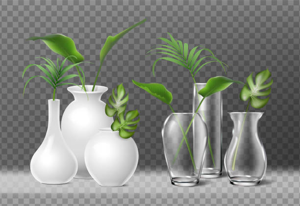 ilustrações, clipart, desenhos animados e ícones de ícone realista. isolado. vasos de flores de vidro e porcelana com plantas dentro. - vase
