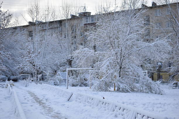 istock Trees in the snow after a snowfall in autumn 1365298814