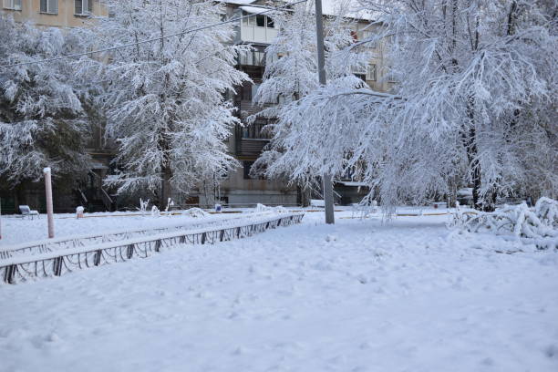 istock Trees in the snow after a snowfall in autumn 1365298950