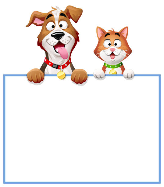 illustrations, cliparts, dessins animés et icônes de chat et chien jetant un coup d’œil sur un panneau blanc vierge - terrier dog puppy animal