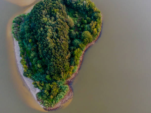 istock Forest views aerial photo 1365301564