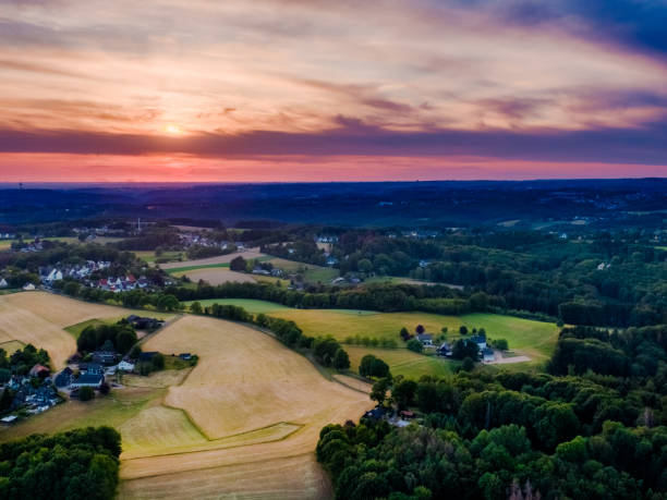 istock Forest views aerial photo 1365302143