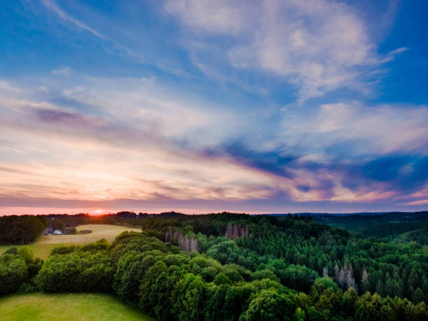 istock Forest views aerial photo 1365302904