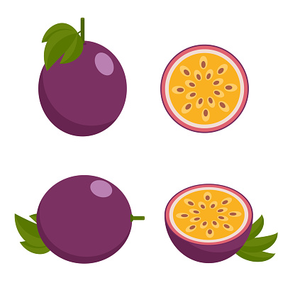 passion fruit, a collection of isolated fruits on a white background. vector illustration.