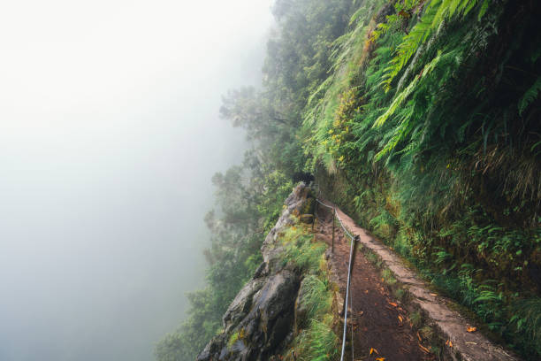 Hiking On Madeira Island Foggy tropical forest on Madeira island (Levada do Caldeirao Verde). narrow stock pictures, royalty-free photos & images