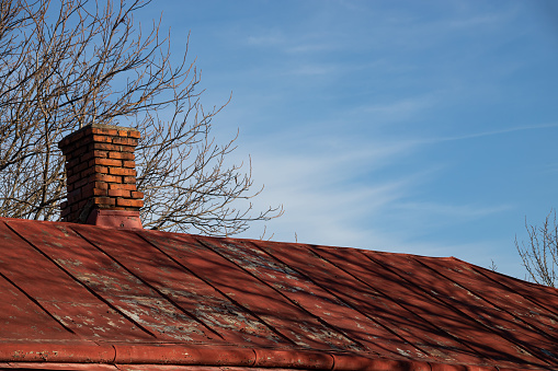 Bird hanging on a roof during a sunny day