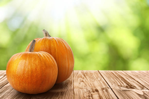 istock Wooden table with fresh pumpkins outdoors on sunny day. Space for text 1365308581