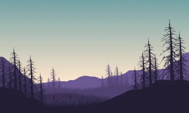 Vector illustration of Stunning forest and mountain view from the outskirts of the city at night