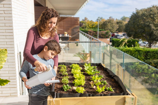 mother and son watering vegetables in their urban garden - gardens imagens e fotografias de stock