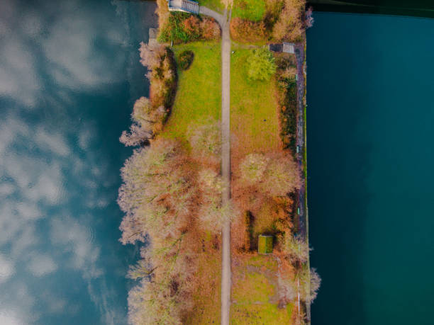 istock river coast with forest. aerial view. 1365315477