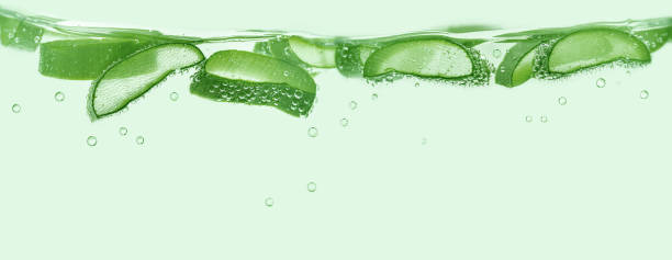 Aloe vera slices under water on green background. Aloe vera slices under water on green background. Copy space, banner. aloe plant alternative medicine body care stock pictures, royalty-free photos & images