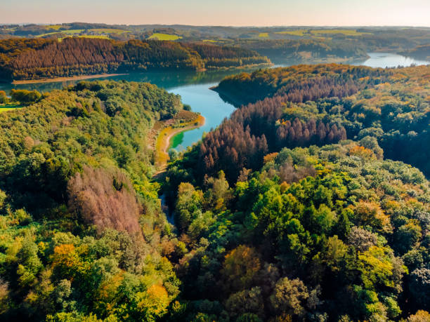 istock River coast trees aerial photo 1365316032