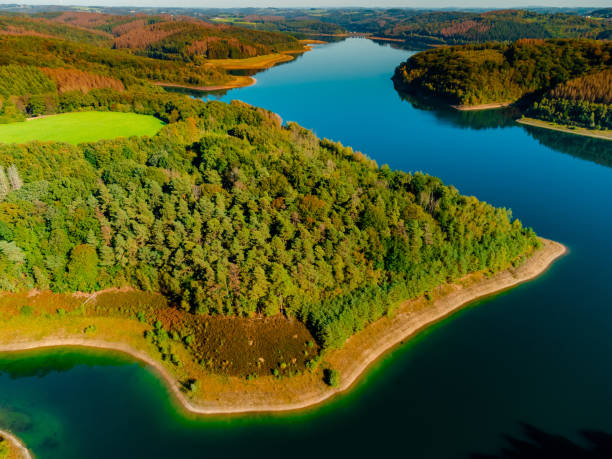 istock River coast trees aerial photo 1365316121