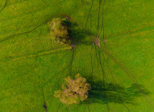 istock Landscape aerial view 1365316139
