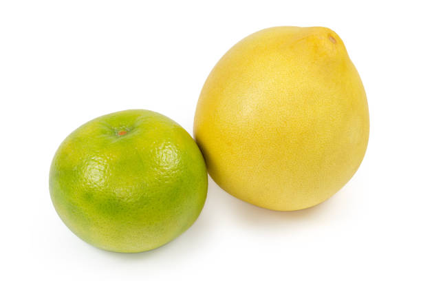 One whole ripe oroblanco fruit and one pomelo fruit on a white background