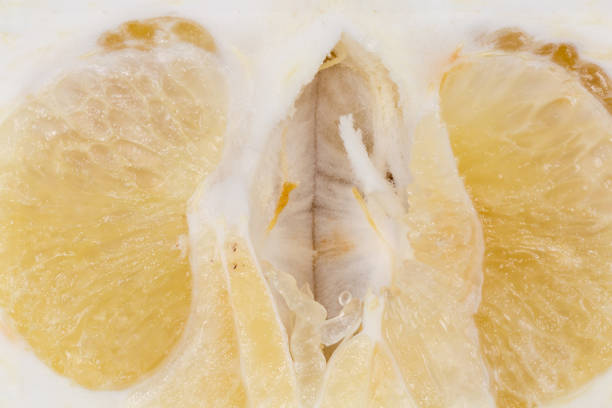 istock Central part of a ripe oroblanco fruit, close-up 1365316625