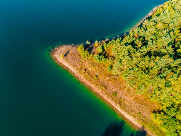 istock River coast trees aerial photo 1365317601