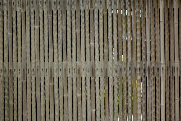 istock Japanese house fence 1365320691