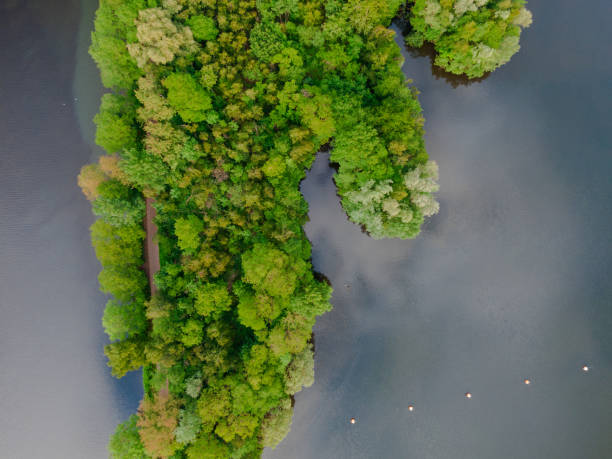 istock River coast trees aerial photo 1365320846