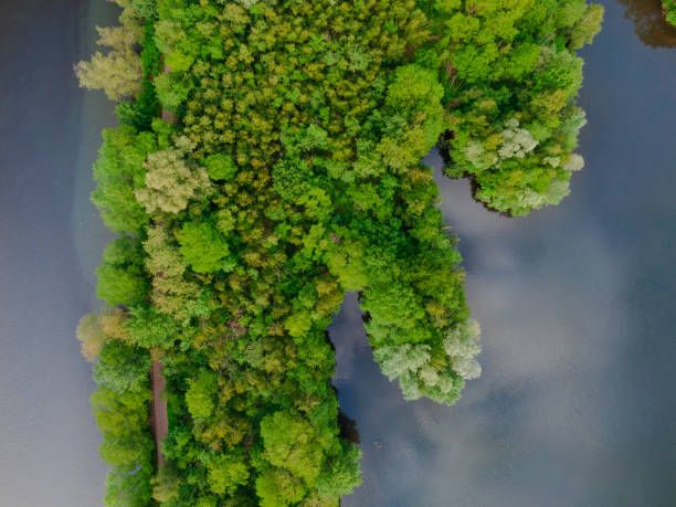 istock River coast trees aerial photo 1365320879