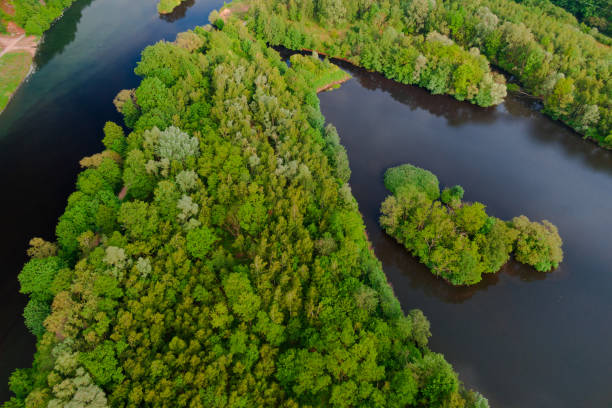 istock River coast trees aerial photo 1365321045