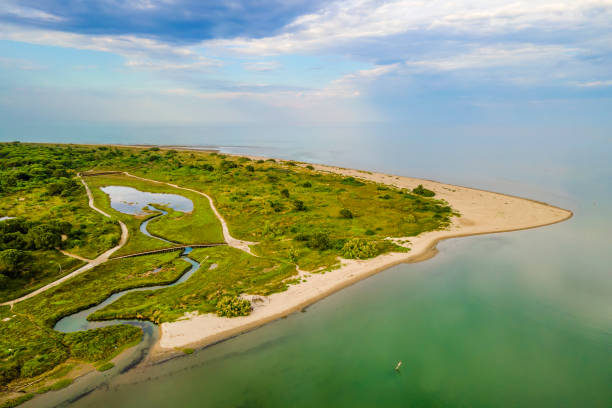 istock Rosolina Mare, natural parkland (Veneto, Italy) 1365324357