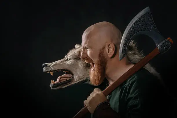 A redhead viking warrior and wolf in studio shot