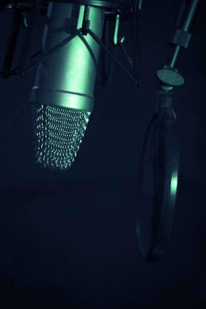 istock Professional microphone suspended in the air 1365327857