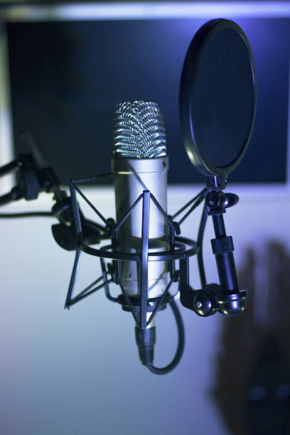 istock Professional microphone suspended in the air 1365327871