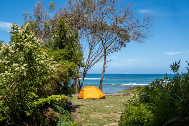 Yellow tent near the ocean on Great Ocean Walk in Victoria, Australia stock photo