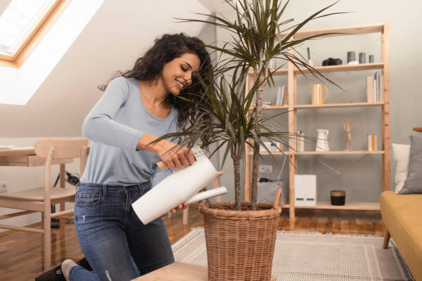 istock Happy woman nursing her plants 1365331345