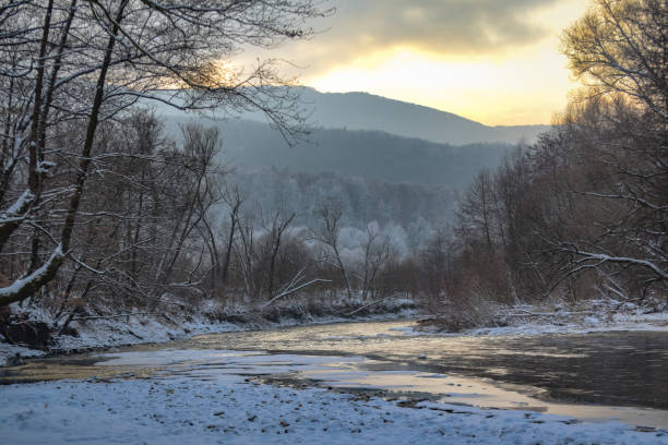 istock Evening winter landscape of a mountain river 1365331367