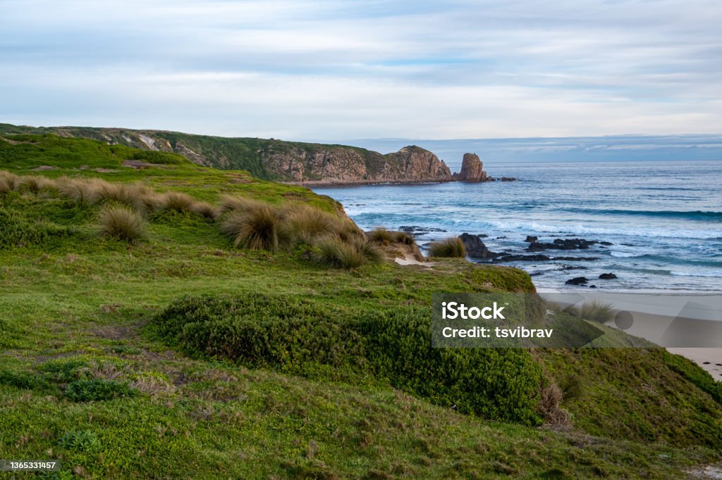 Grassy coastline with rocky outcrops at ocean beach in Australia Aerial View Stock Photo