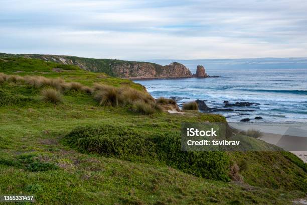 Grassy Coastline With Rocky Outcrops At Ocean Beach In Australia Stock Photo - Download Image Now