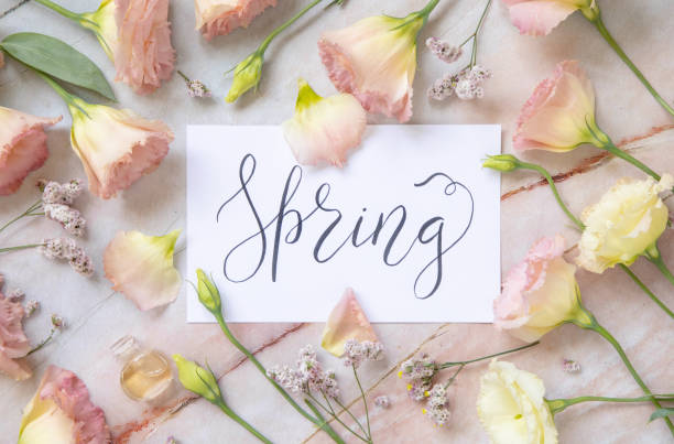 istock Card with the text SPRING surrounded by pink flowers 1365331825