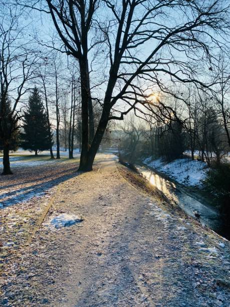 istock Cold winter morning in the park 1365334467