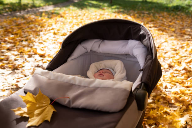 istock Little baby boy in stroller outdoors. Yellow leaves around him. 1365336021