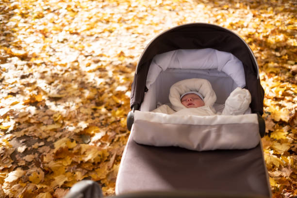 istock Little baby boy in stroller outdoors. Yellow leaves around him. 1365336081